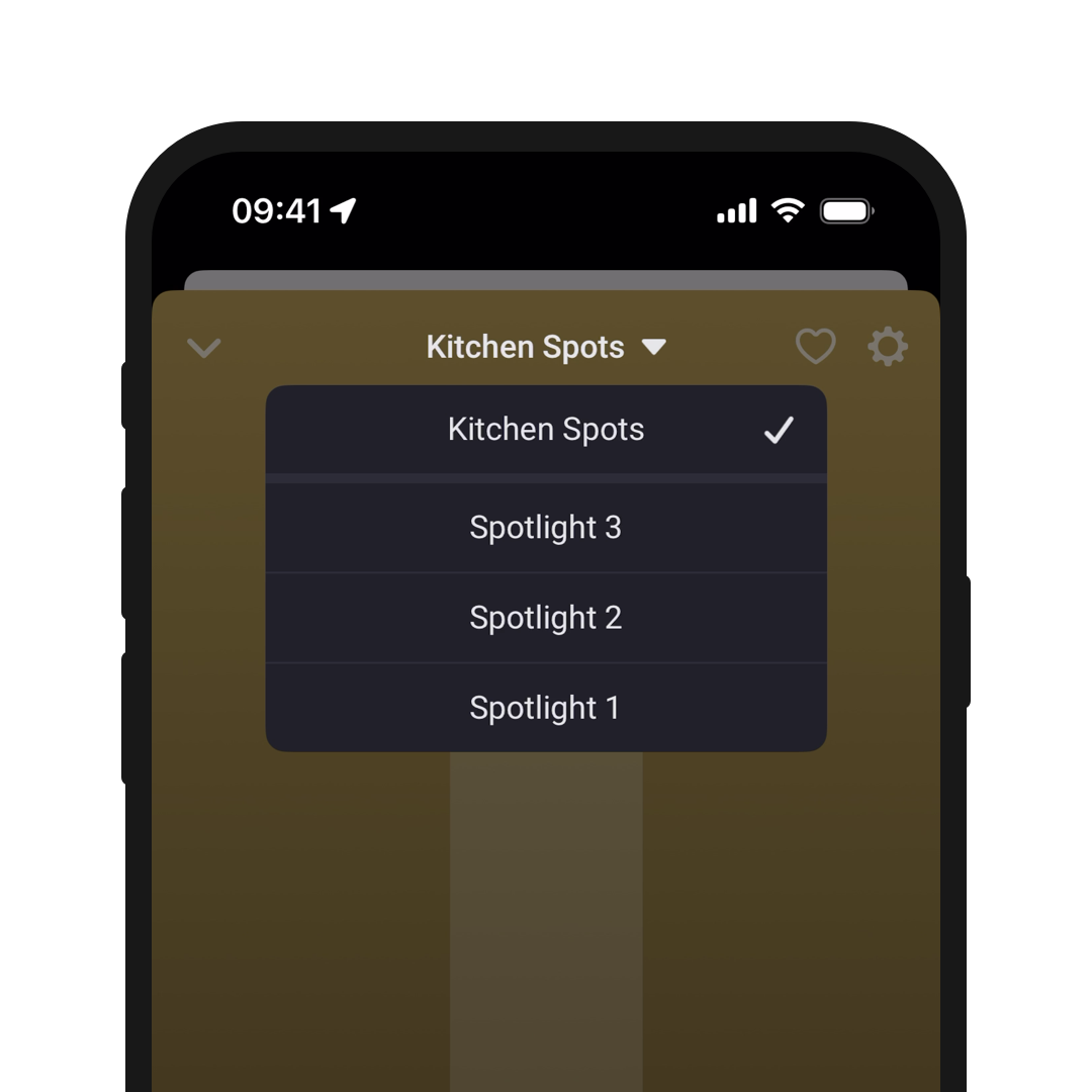 homey-app-device-groups-single-devices.png